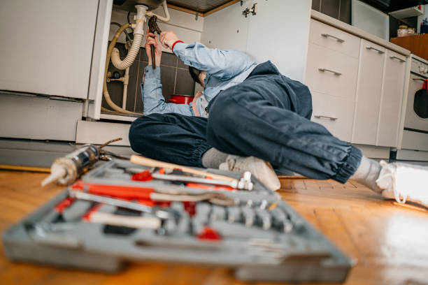 Best Local Plumber Services  in Bonnie Brae, IL