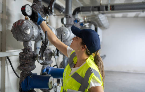 Best Affordable Plumbing Services  in Bonnie Brae, IL