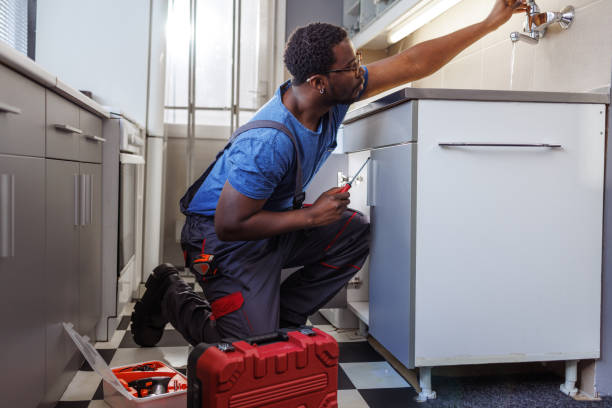 Best Septic Systems  in Bonnie Brae, IL
